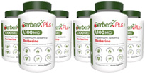 Six bottles of BerberXPlus (6-month supply) for $49 each with a Buy Now button.