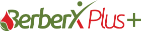 BerberX Plus logo